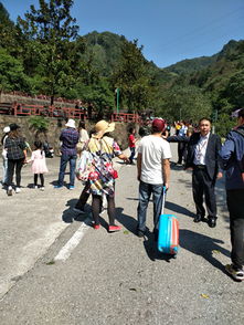 索溪峪景區(qū)管委會多舉措提升旅游服務質(zhì)量